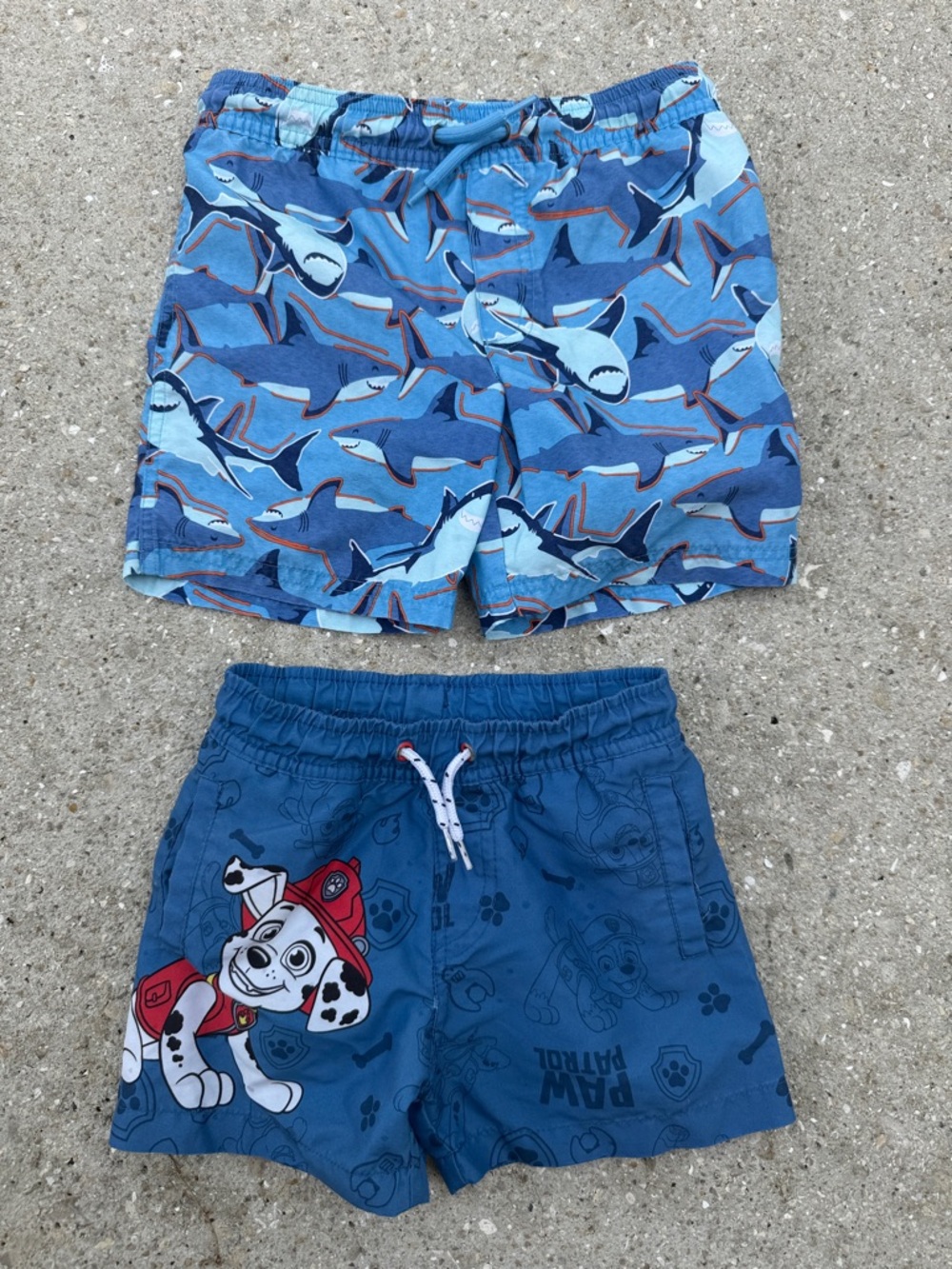 Paw Patrol Boys Blue Shark & Marshall Swim Shorts Set